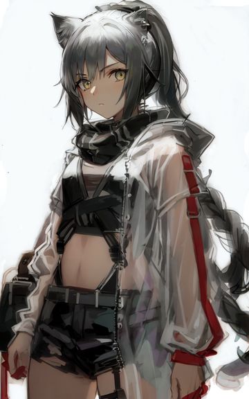 样图