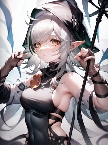 样图
